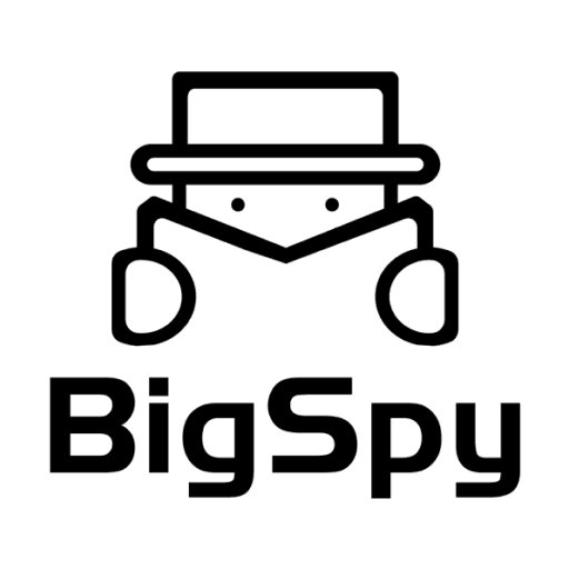 Image for BigSpy