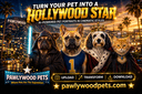 Pawlywood Pets