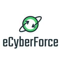 Image for eCyberForce LLC